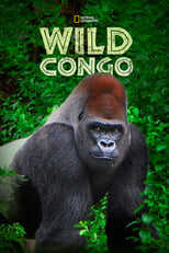 NL - WILD CONGO 4