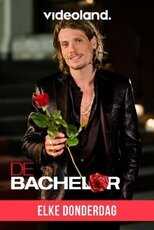 NL - DE BACHELOR 4