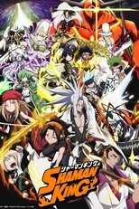 NL - SHAMAN KING S01 4