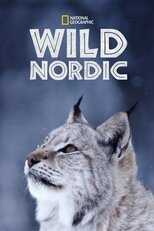 D+ - Wild Nordic (US) 5