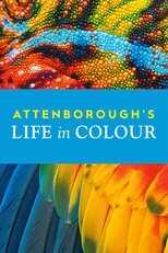 [SE] Attenborough's Life in Colour 5