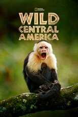 D+ - Wild Central America 5