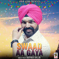 IN - Swaad Aa Gaya 2 4
