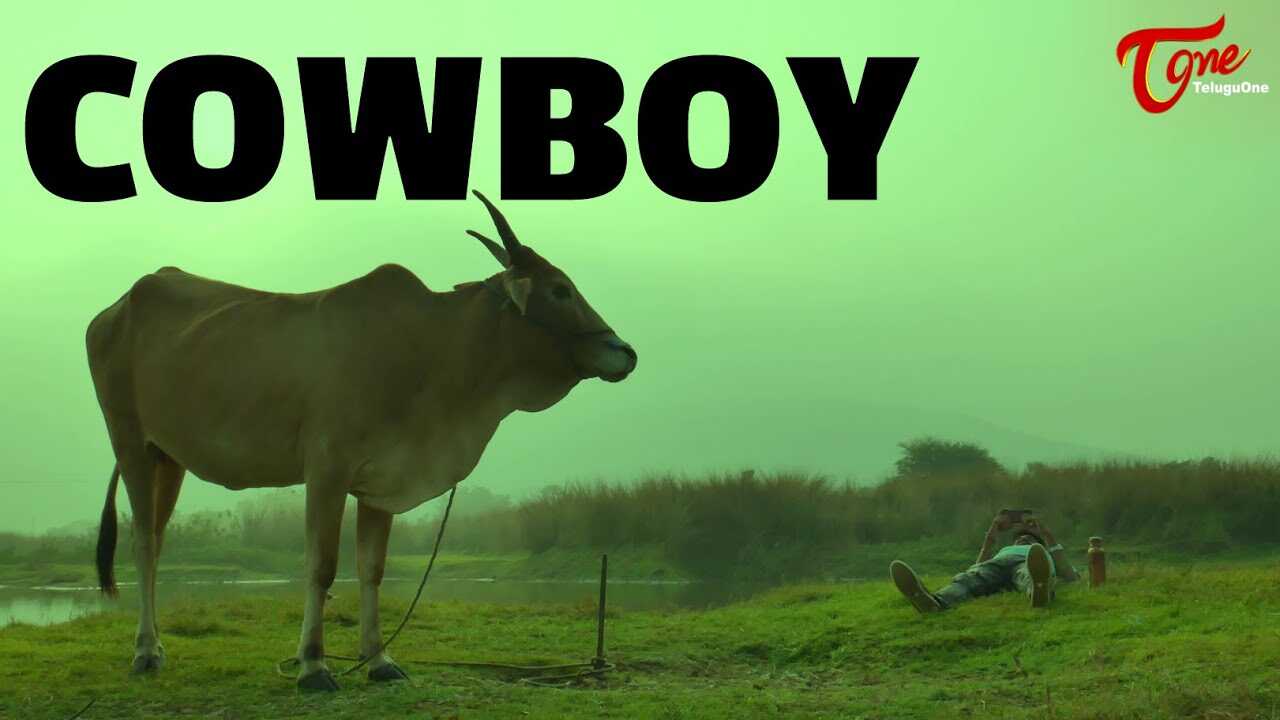 GR - COWBOY 4