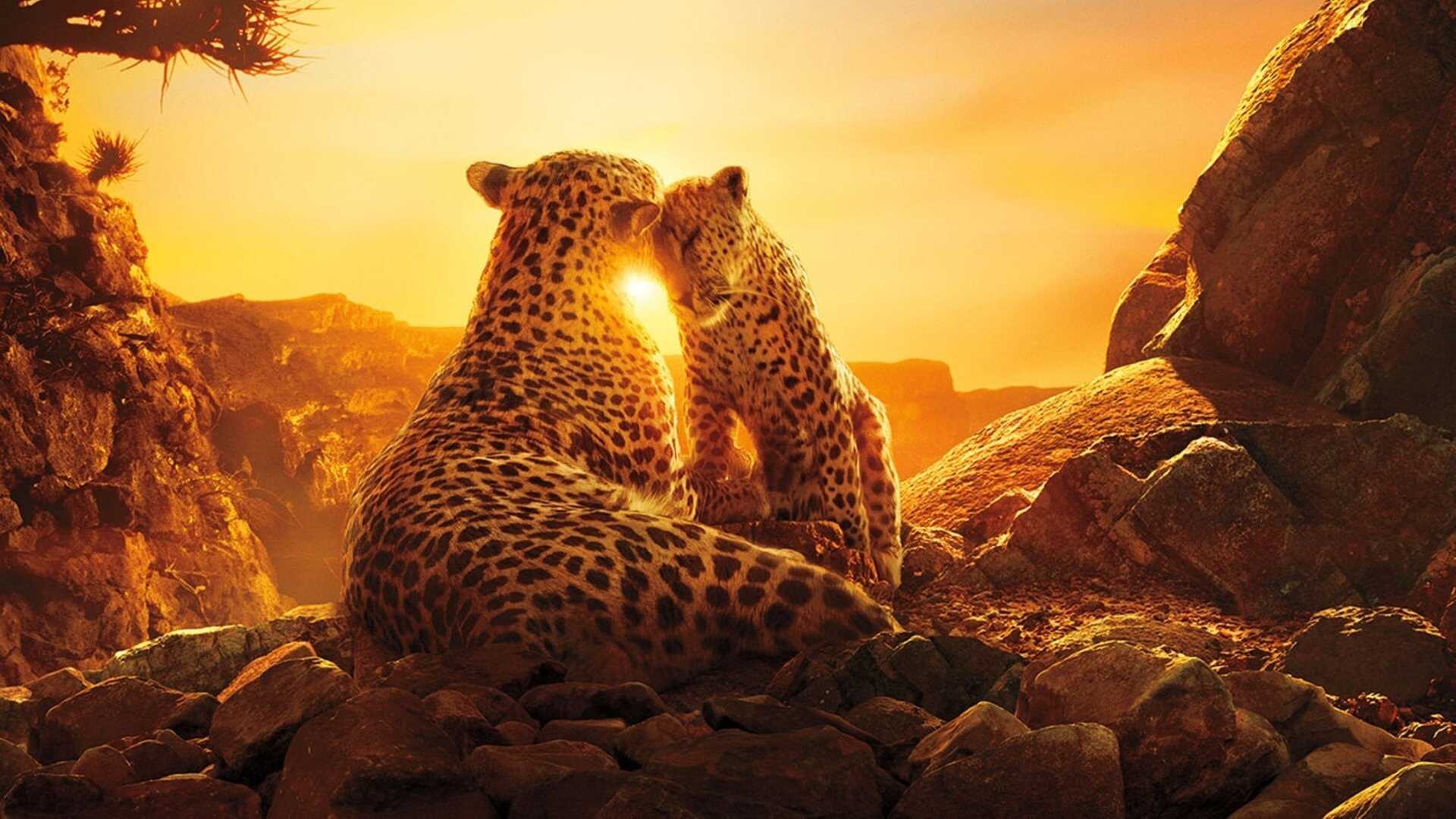 EN - Our Planet (2019-2023) 3