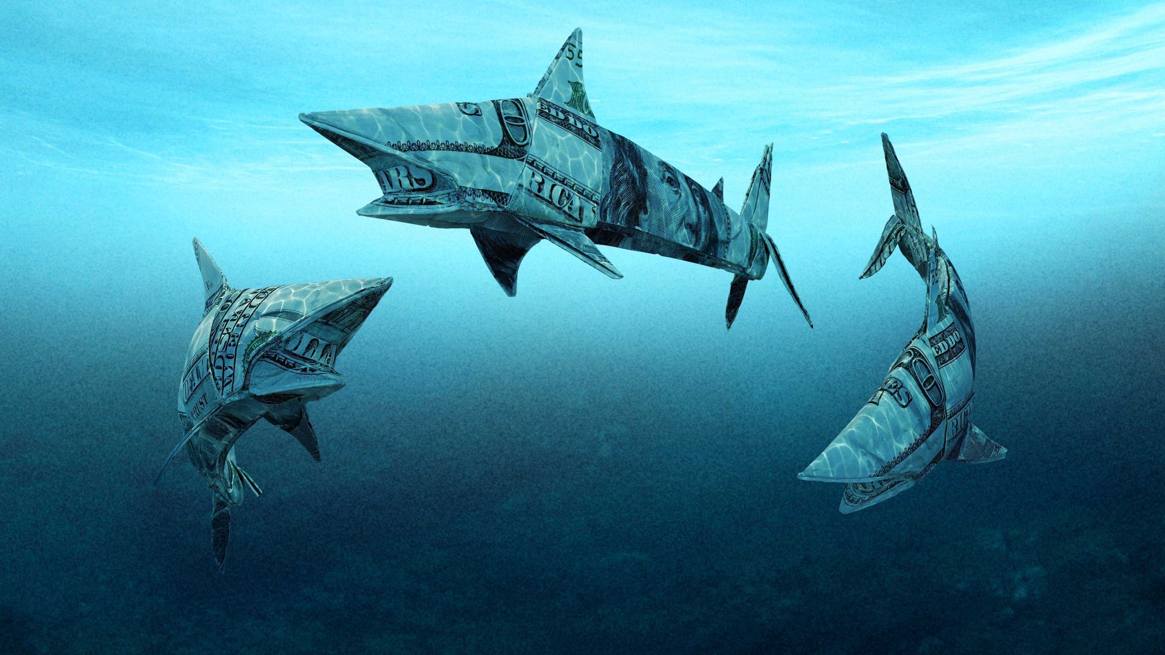 EN - Shark Tank (2009) 3
