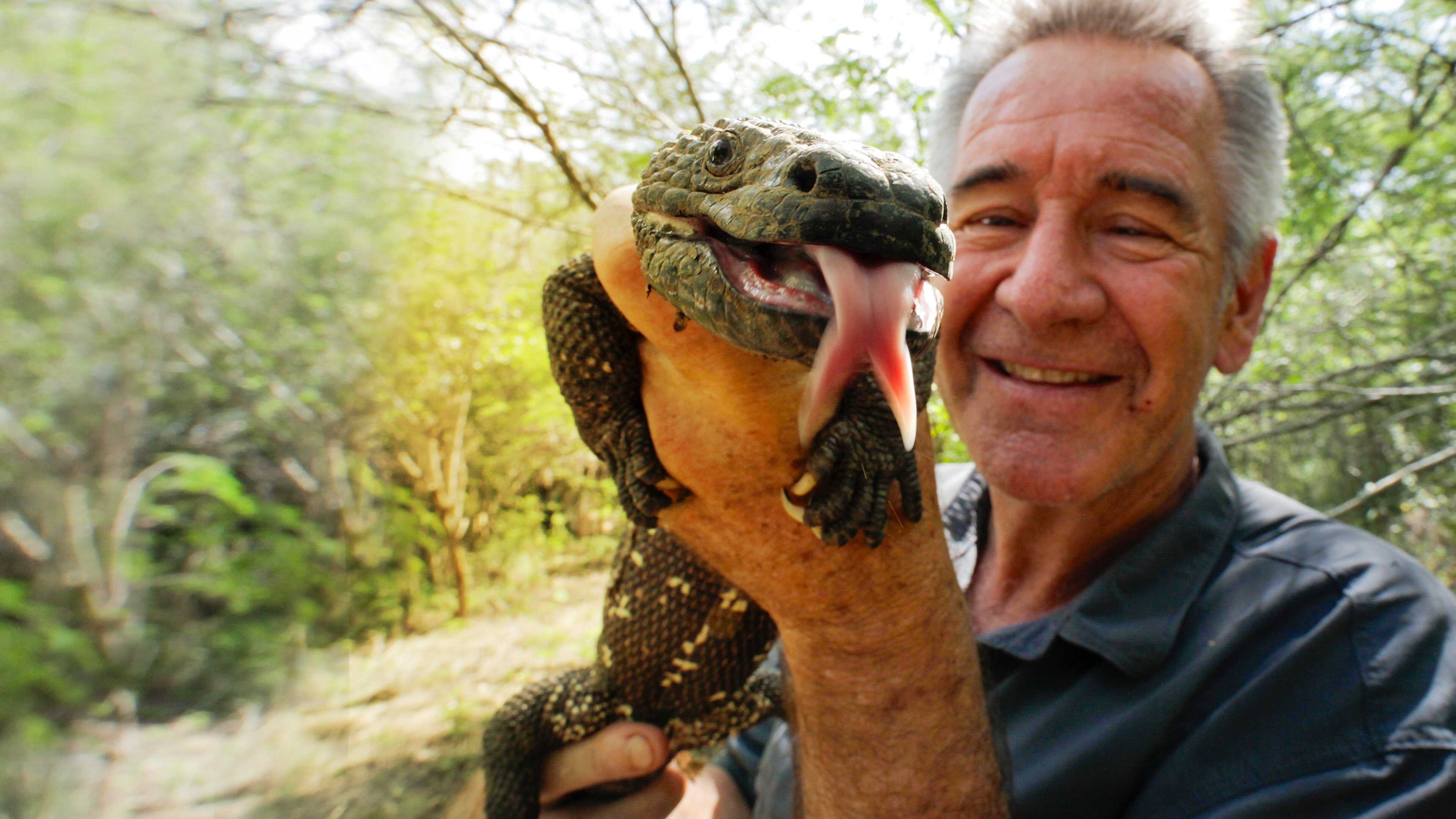 EN - Wild Central America (2020) 0