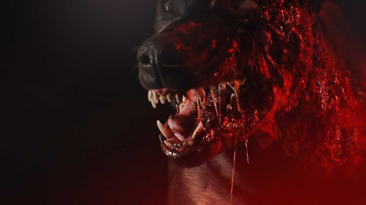 AR - Resident Evil 0