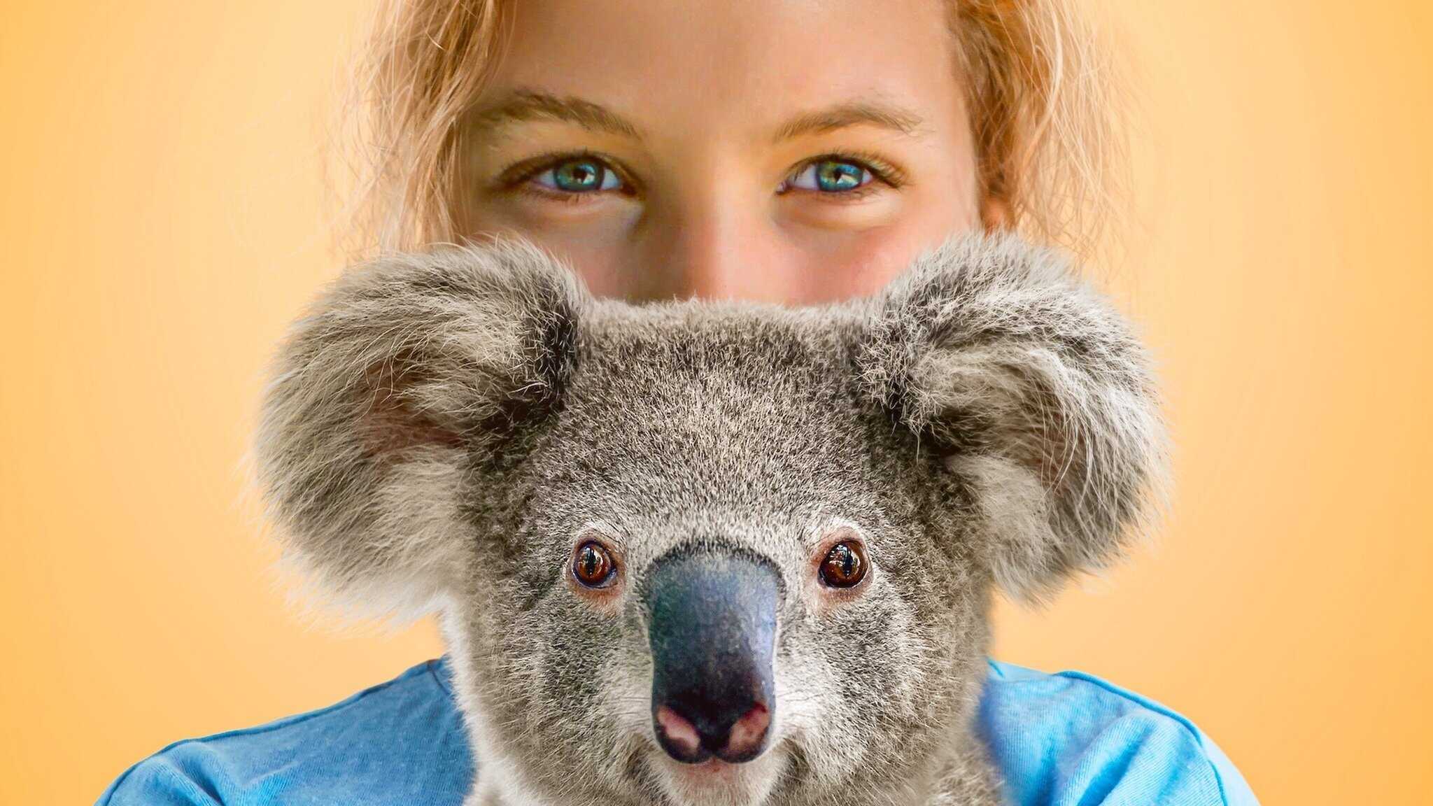AR - Izzy's Koala World 0