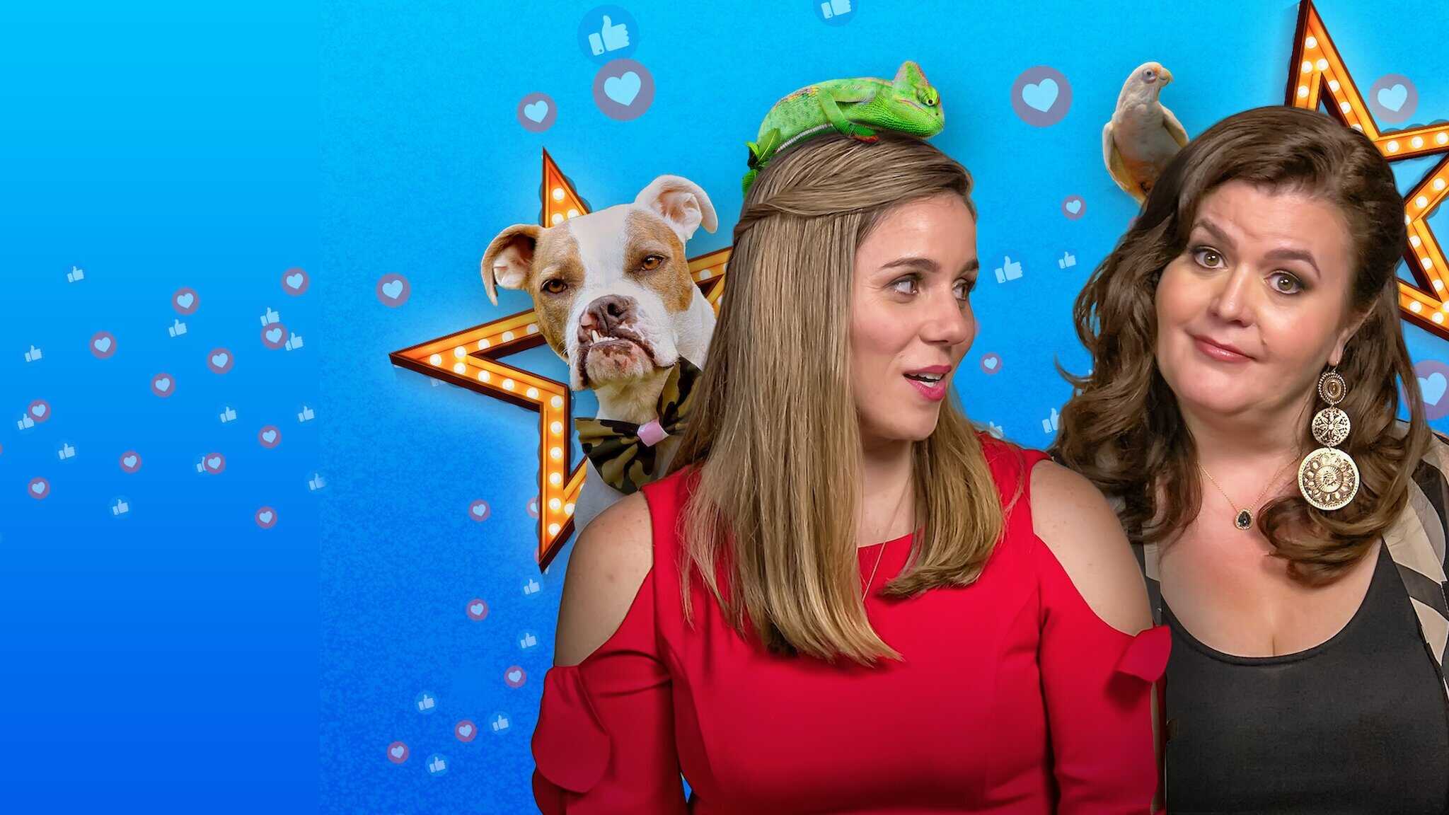 EN - Pet Stars (2021) 0