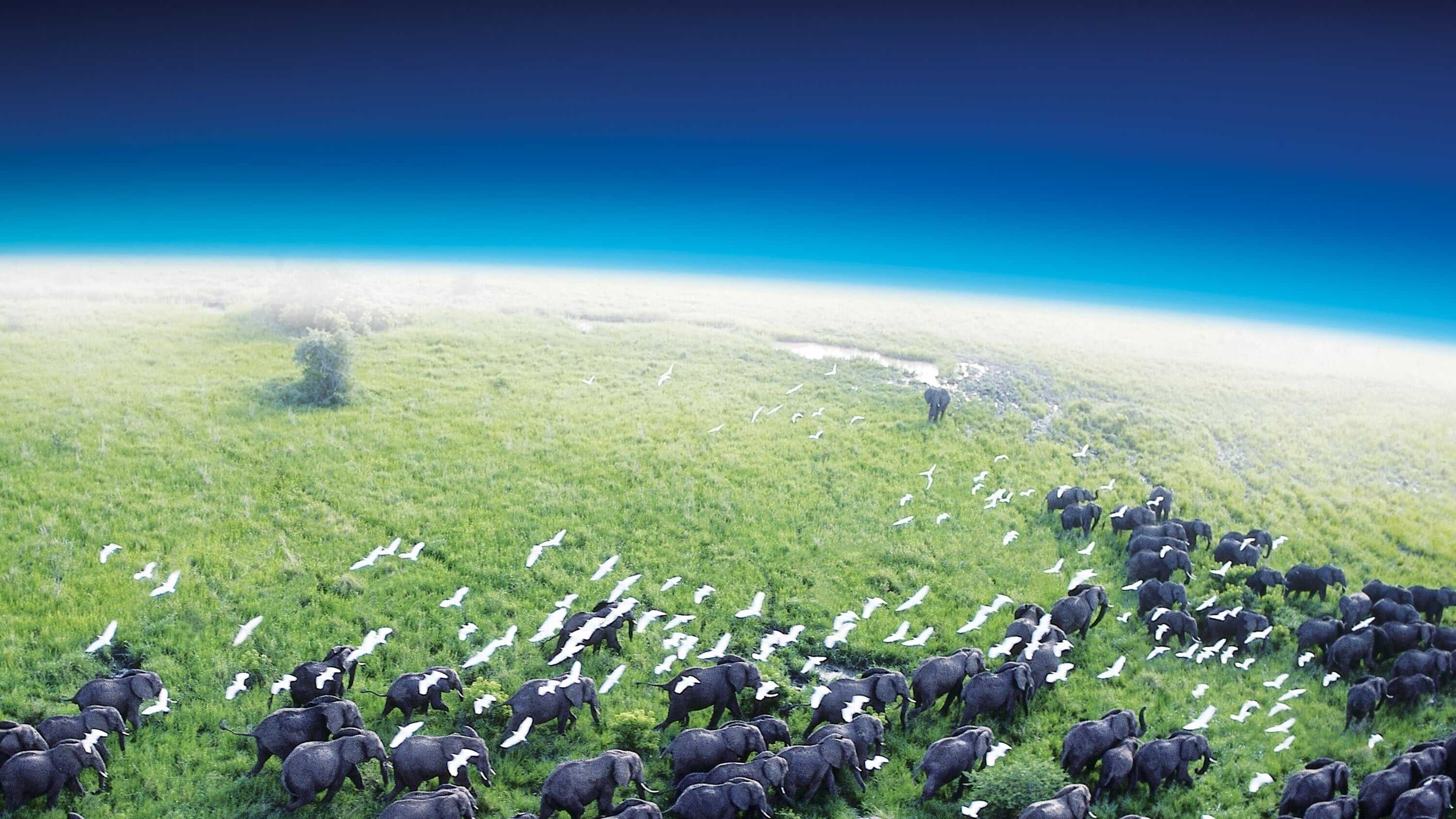 EN - Planet Earth I (2006) 0