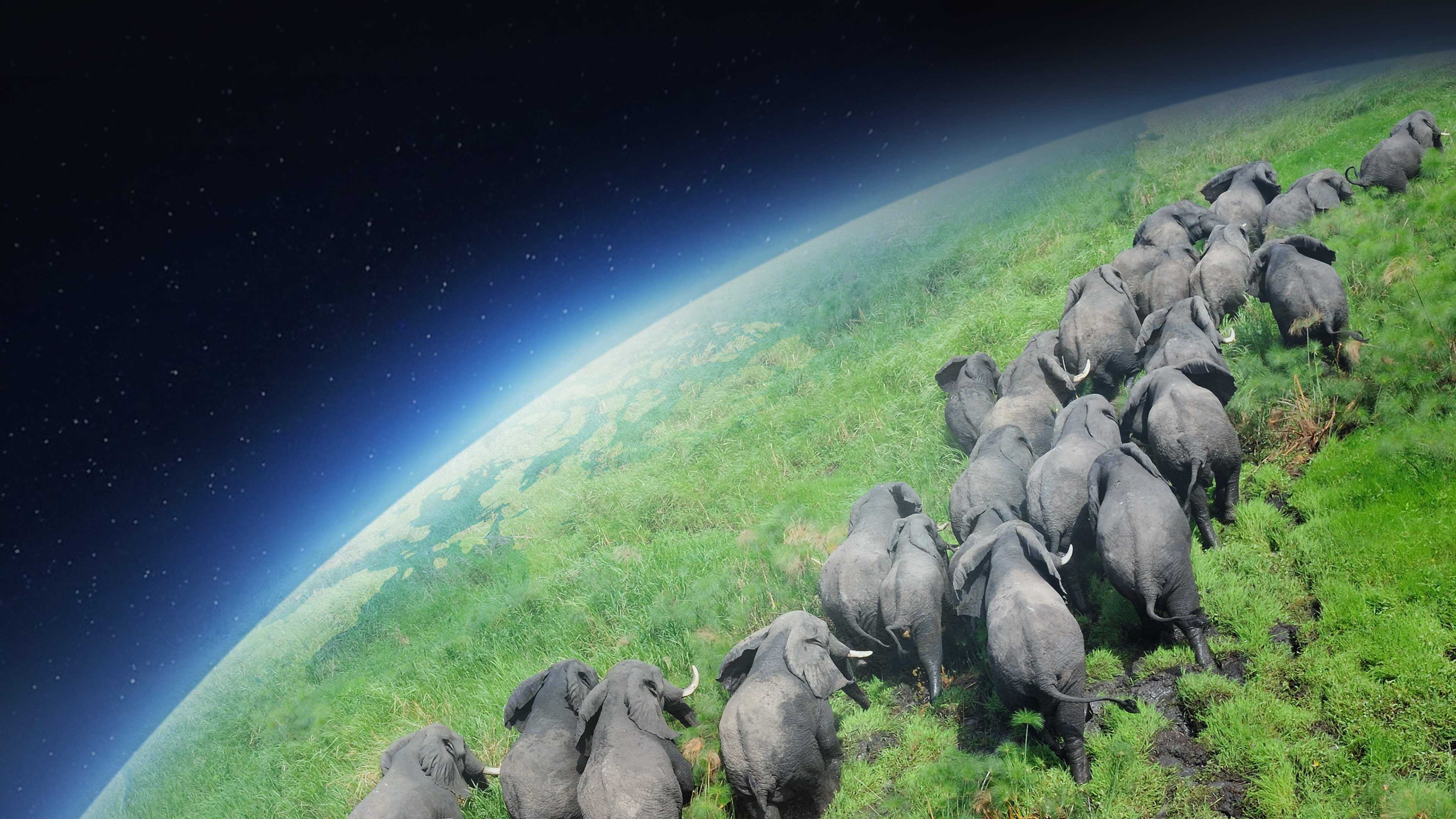 EN - Planet Earth I (2006) 1
