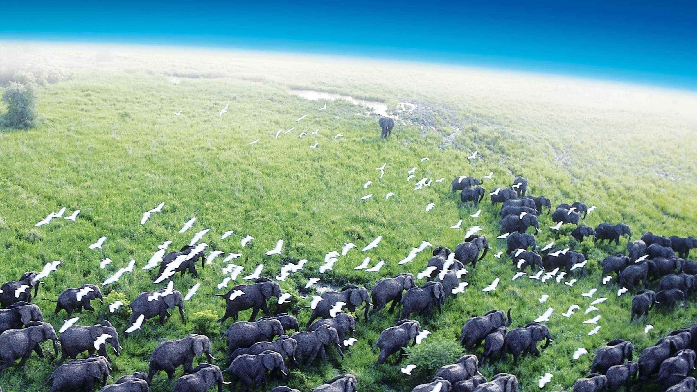 EN - Planet Earth I (2006) 4