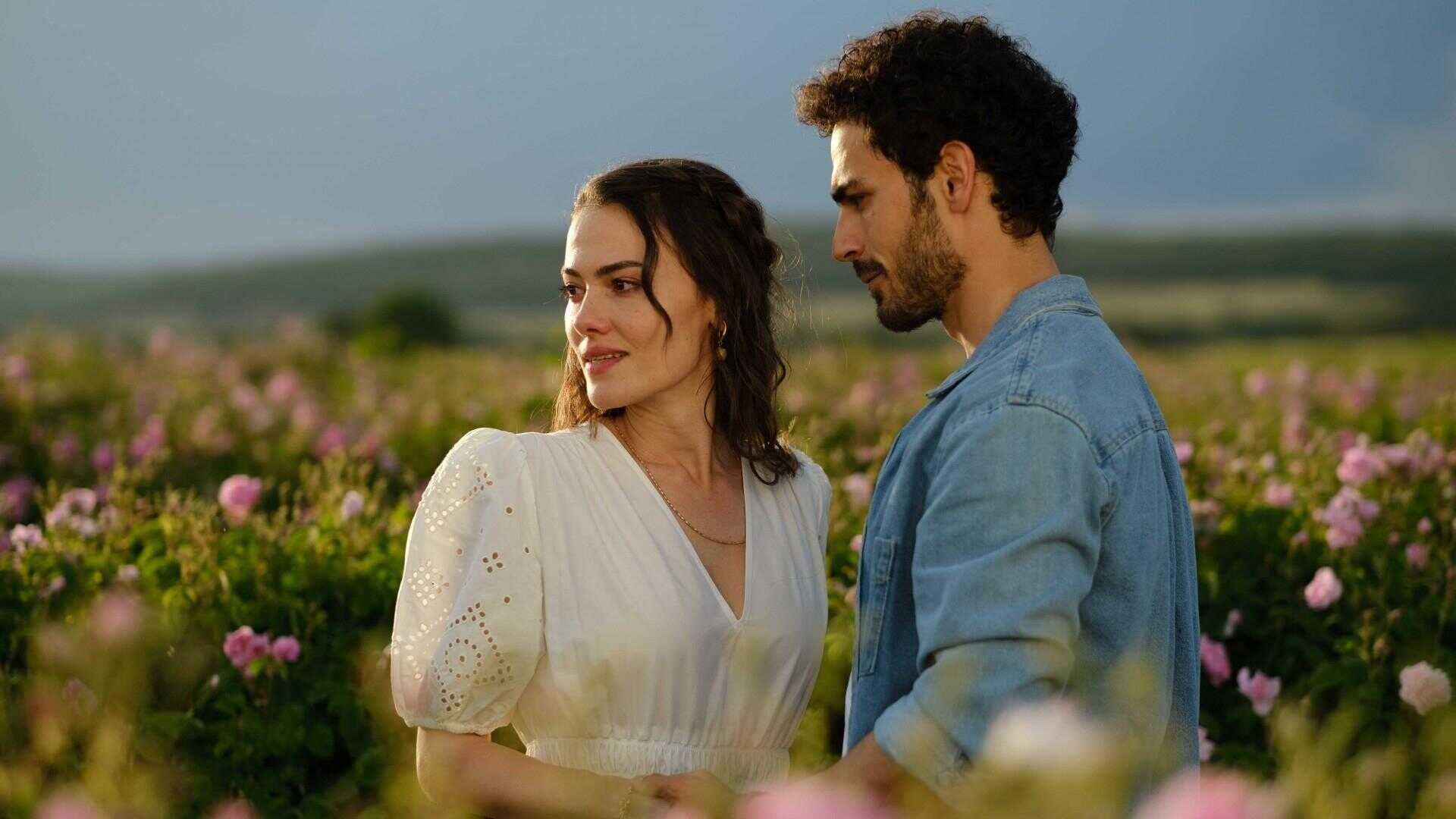 AR - مسلسل حكاية وردة 0