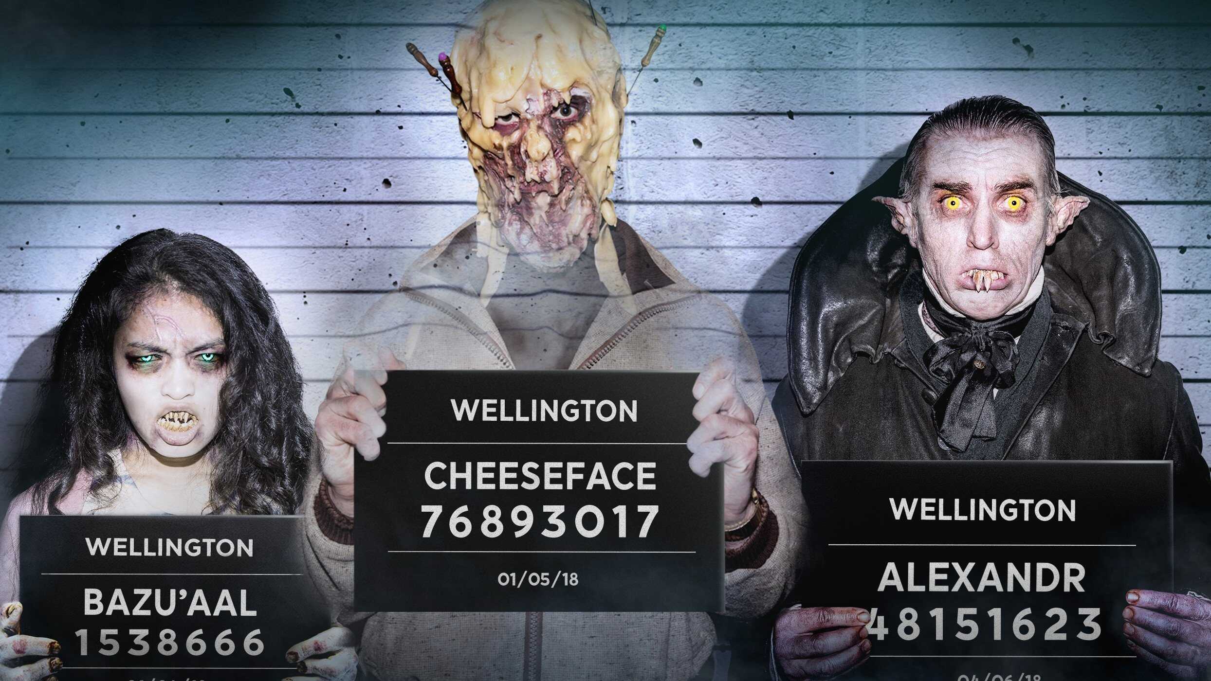 FR - Wellington Paranormal 0