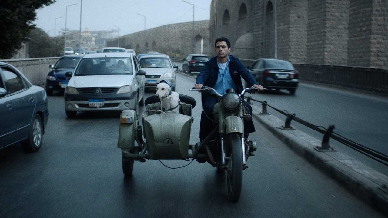 البحث عن منفذ لخروج السيد رامبو (2025) 0