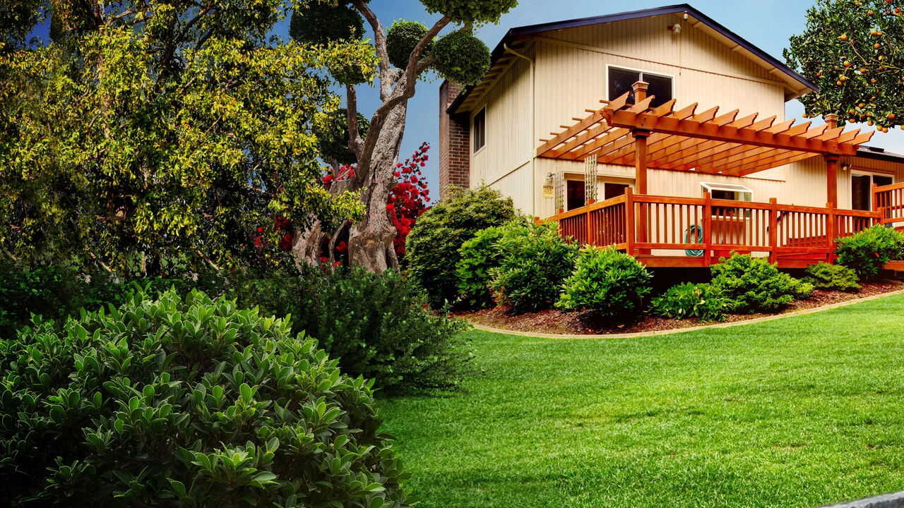 EN - Curb Appeal Xtreme (2021) 1