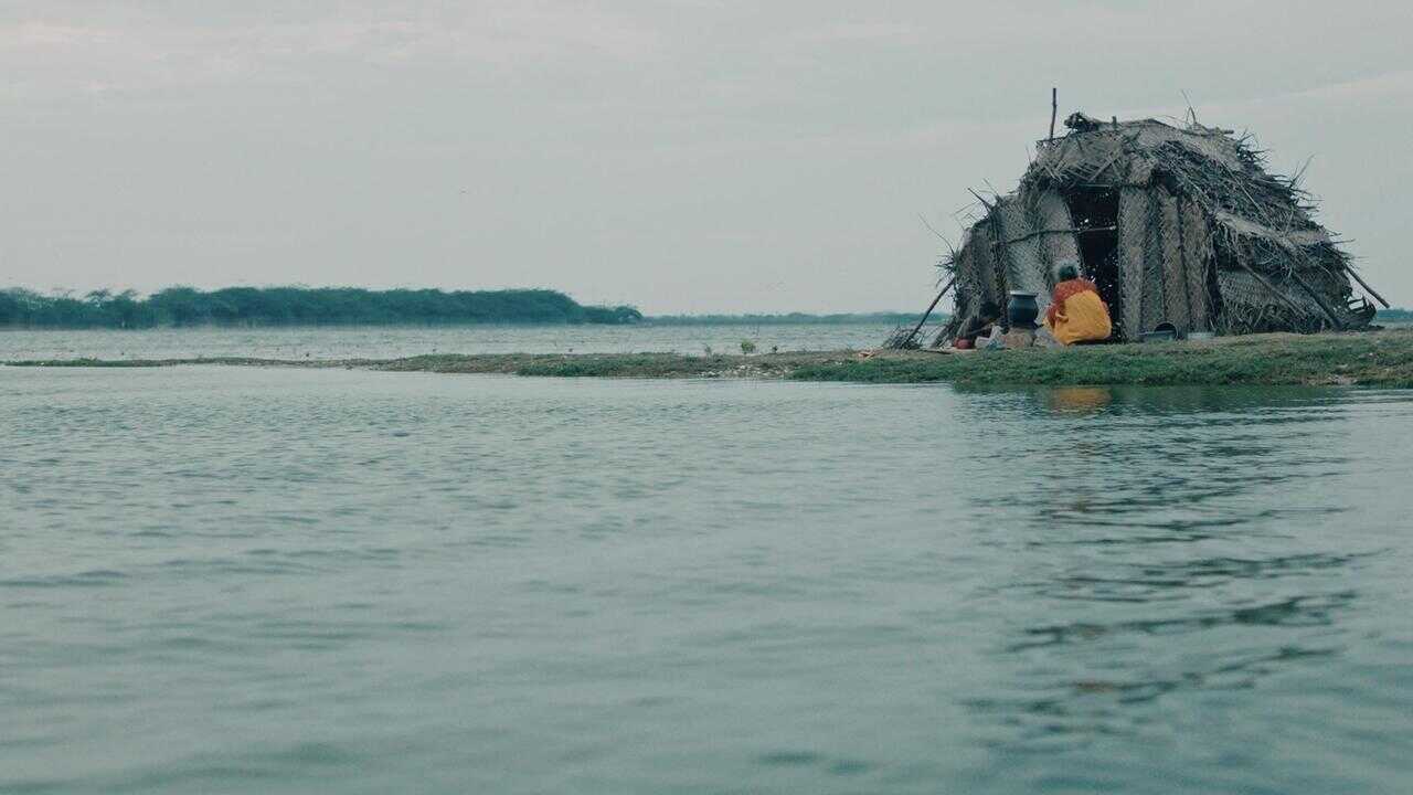Virundhu (2024) 0