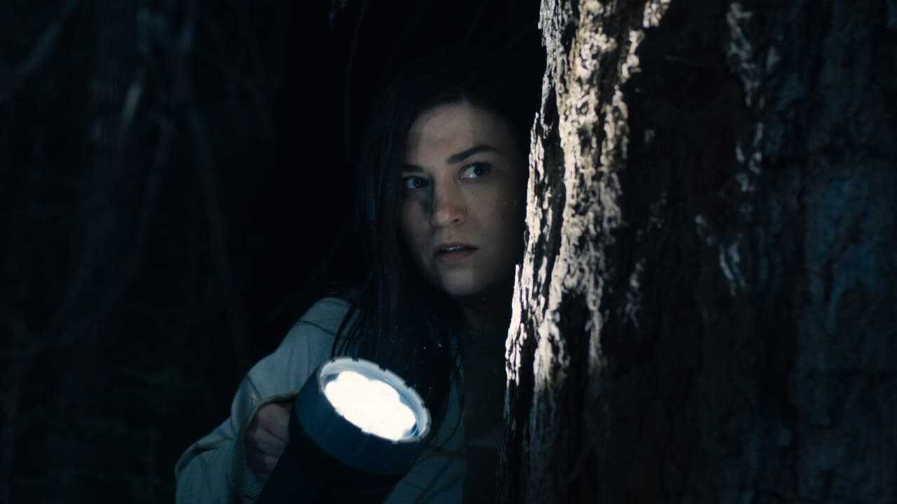 Stranger in the Woods (2024) 0