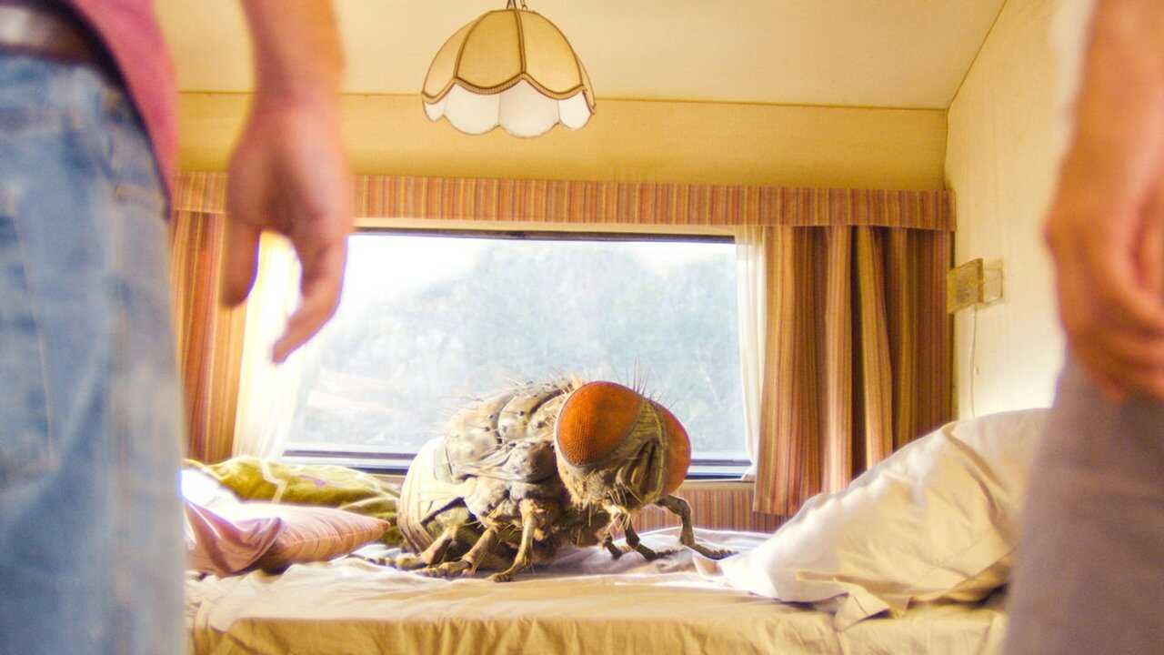 Mandibules 0