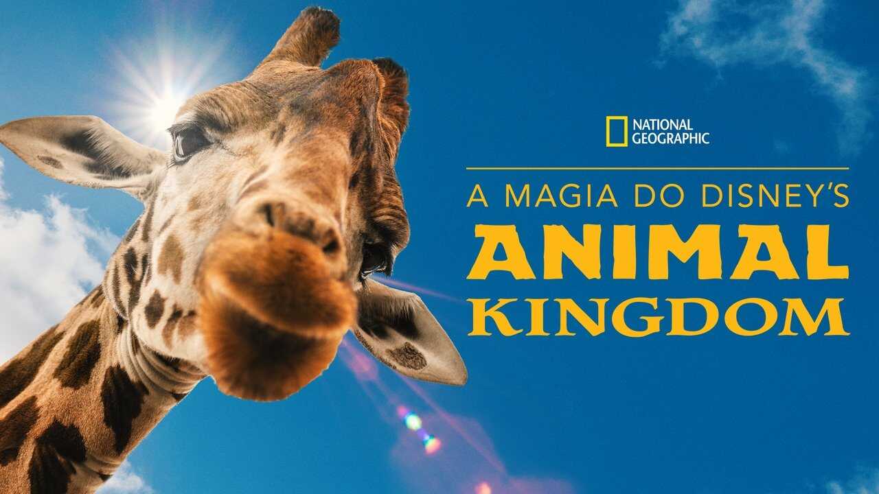EN - Magic Of Disney's Animal Kingdom (2020) 4