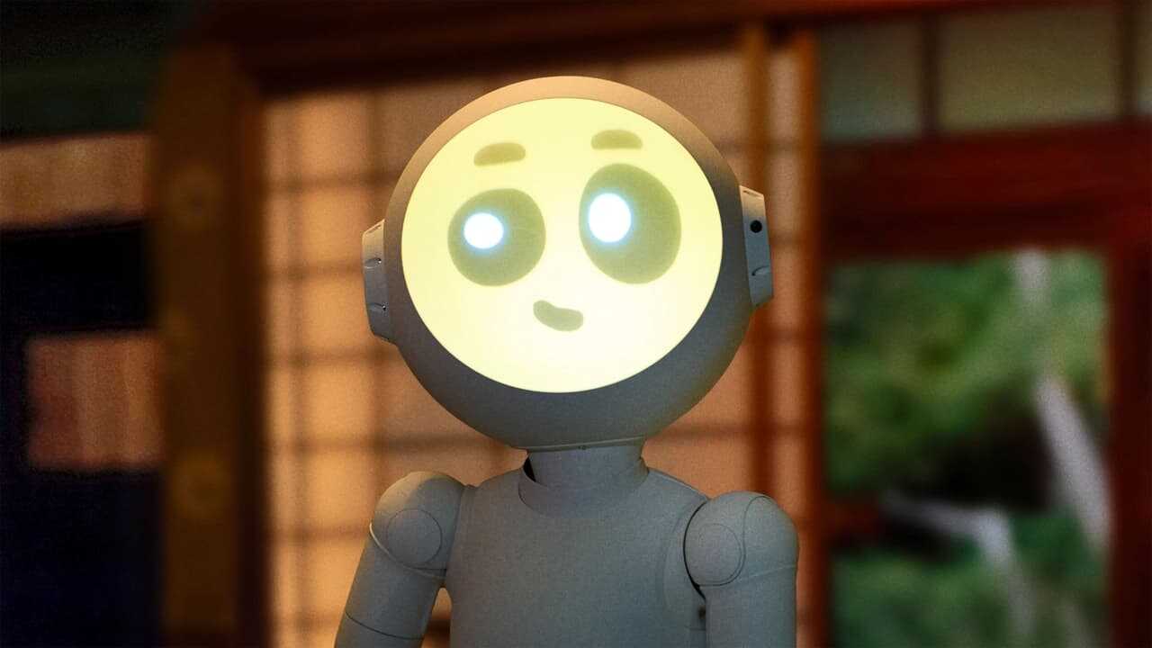 DE - Sunny (2024) 3