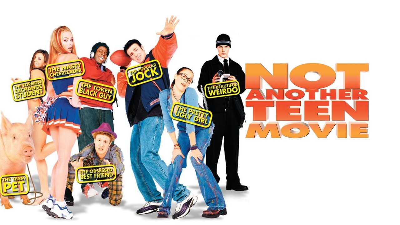 Not Another Teen Movie 0