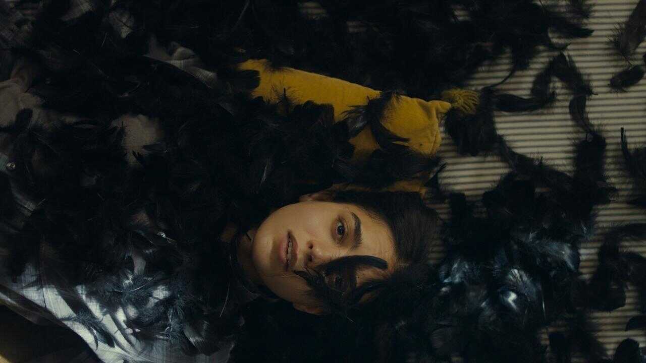 All the World Is Sleeping 0