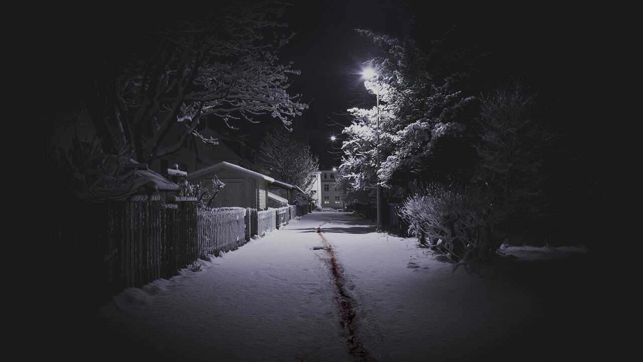 EN - The Valhalla Murders (2019) 0