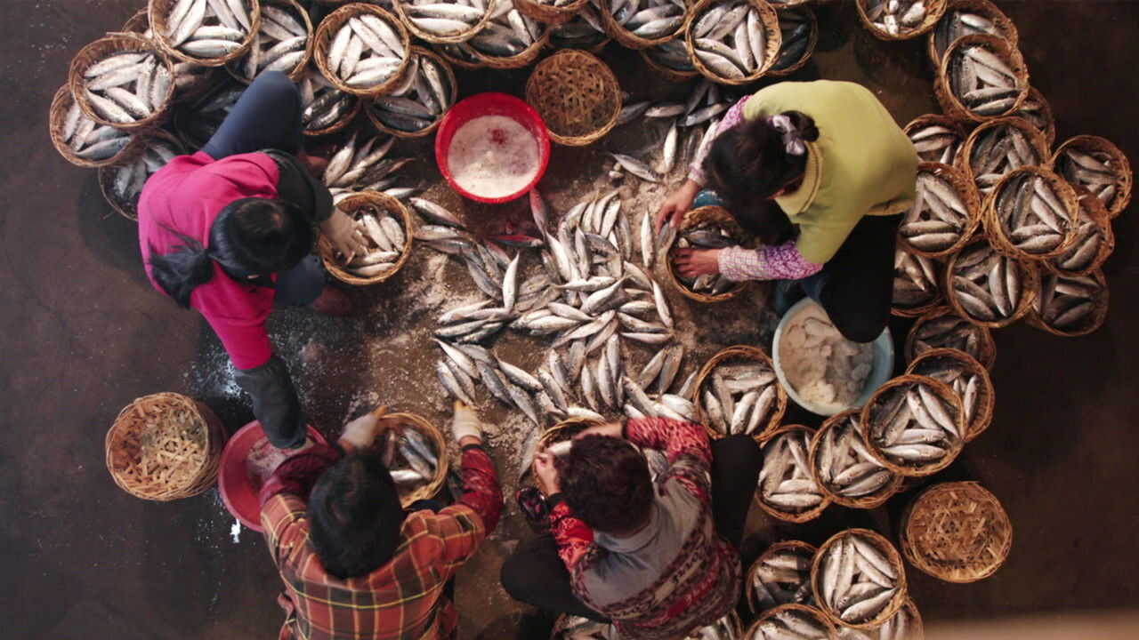 NF - Flavorful Origins 2