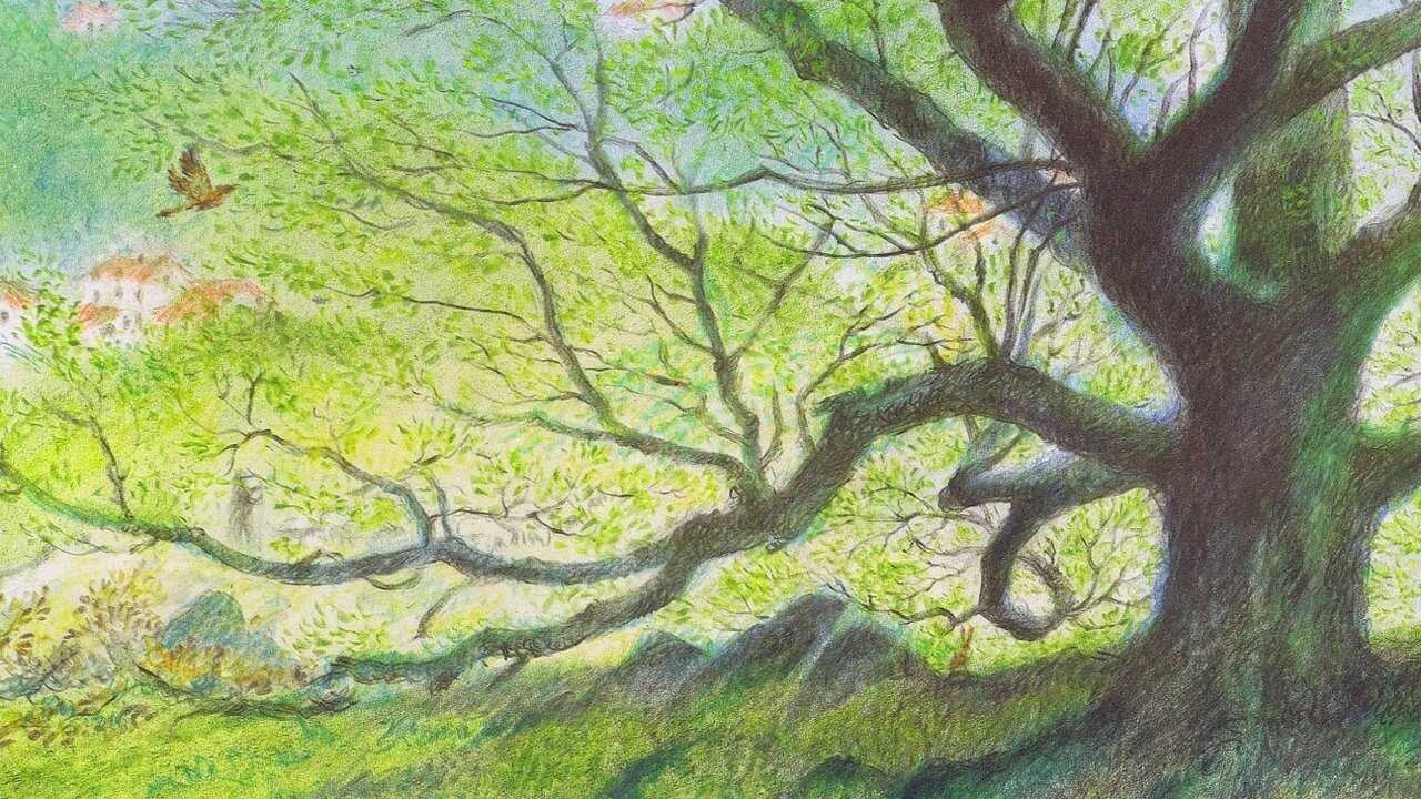 L'homme qui plantait des arbres 0