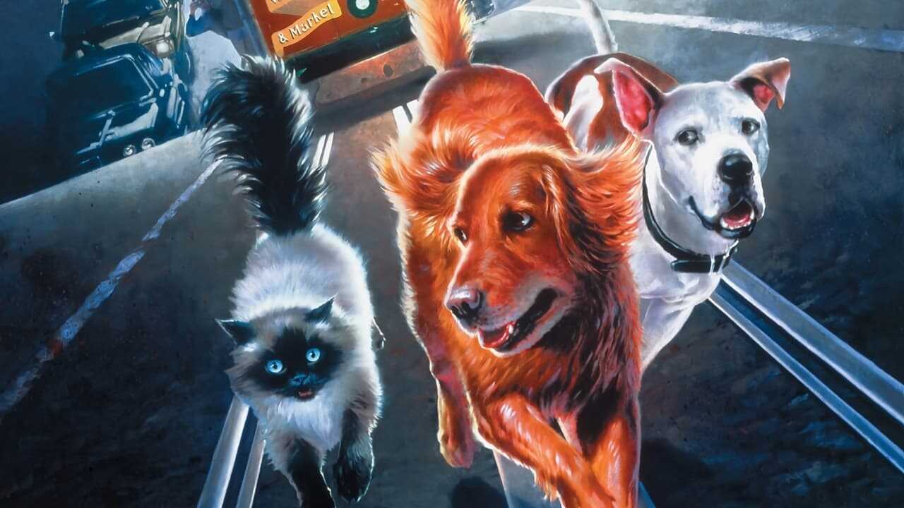 Ein tierisches Trio - Wieder unterwegs (1996) 0