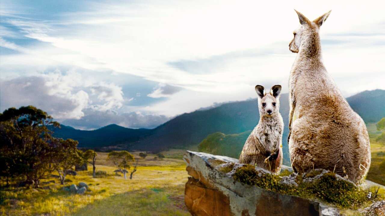 Kangaroo Valley 0