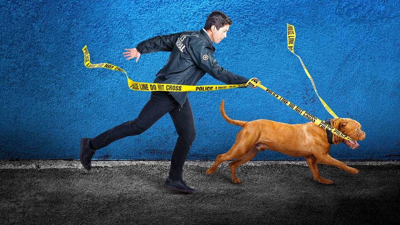 [SE] Turner & Hooch 3