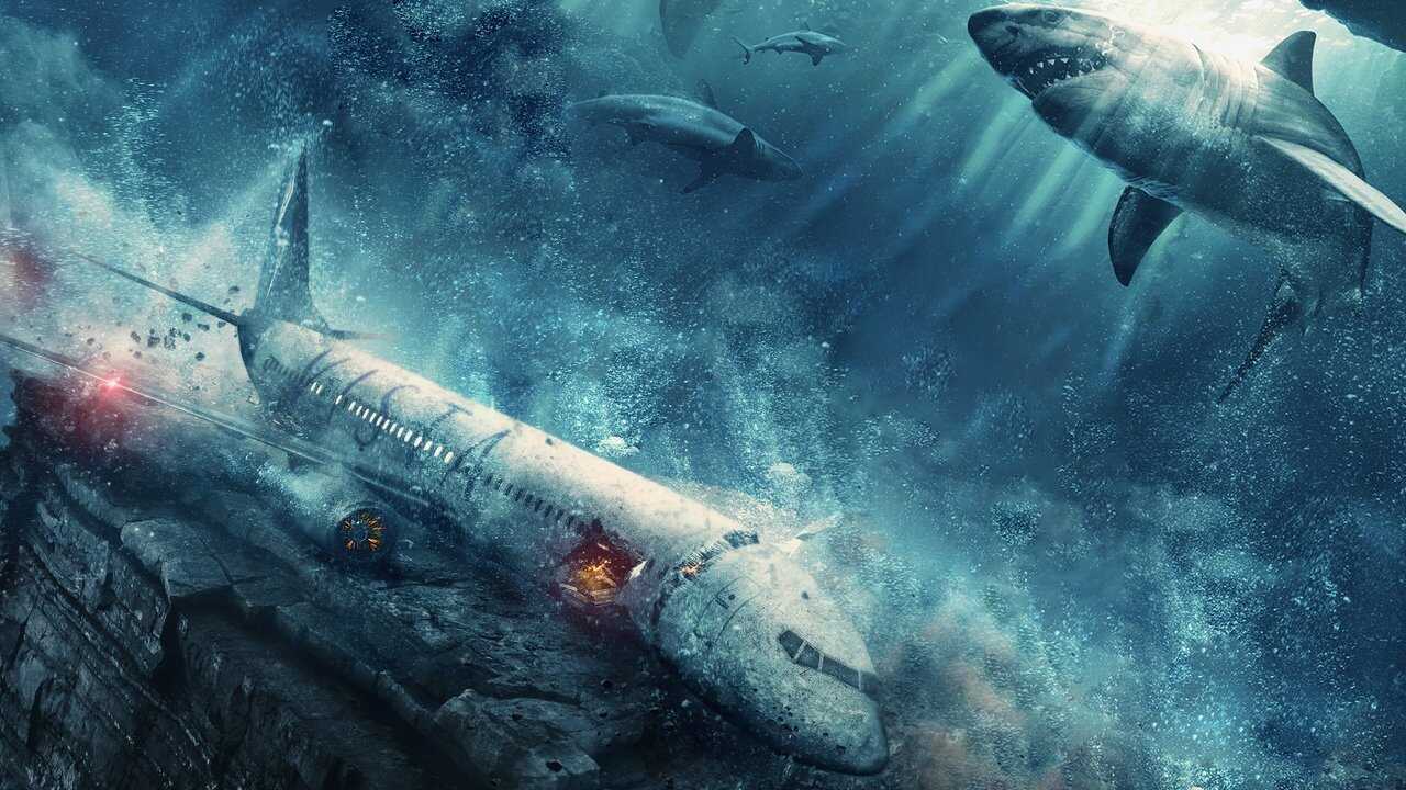 Bez paniki (2024) 0