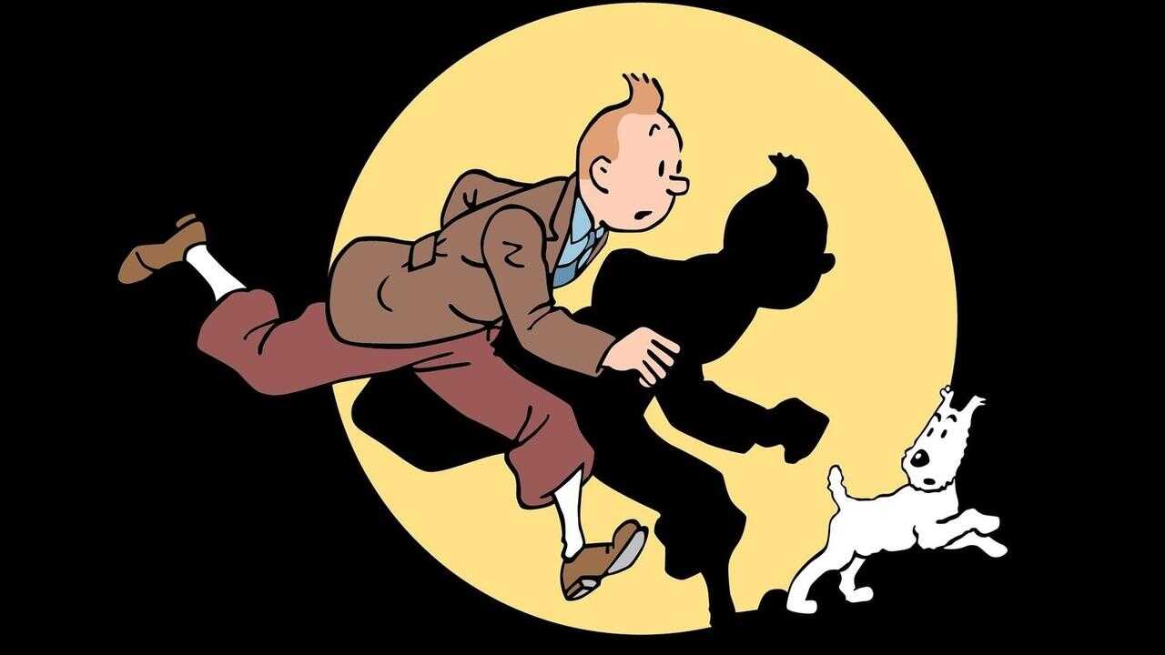 FR - Les Aventures de Tintin 0