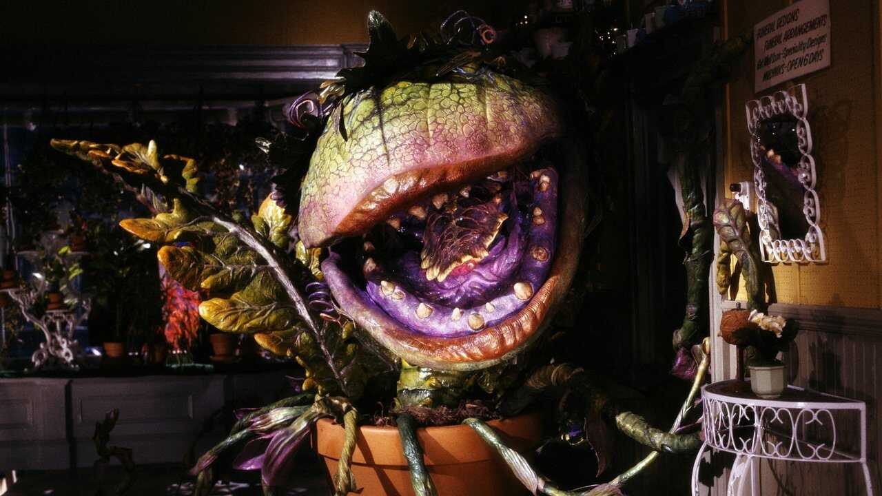 Little Shop of Horrors 0