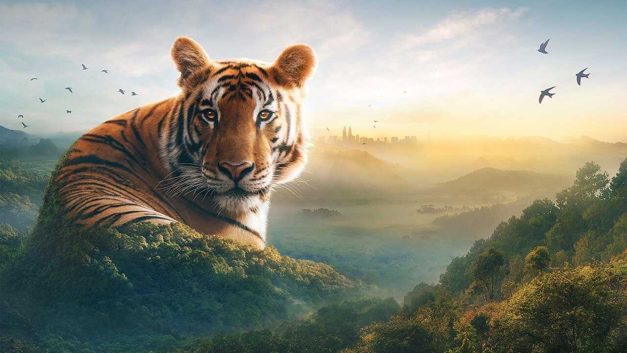 EN - Asia (2024)  David Attenborough 0