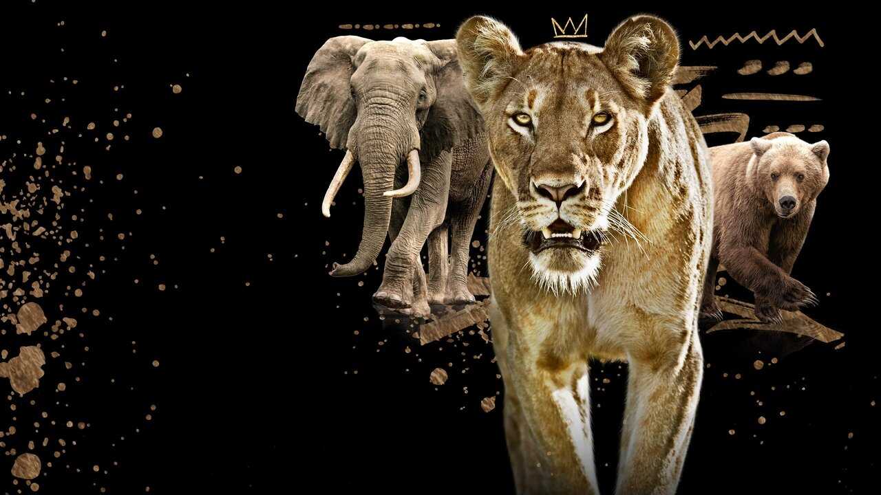 EN - Queens (2024) 2