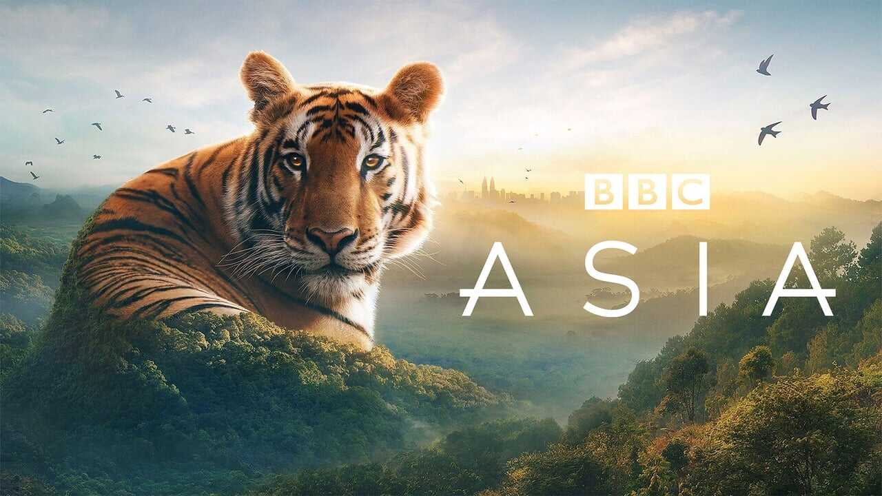 EN - Asia (2024)  David Attenborough 4