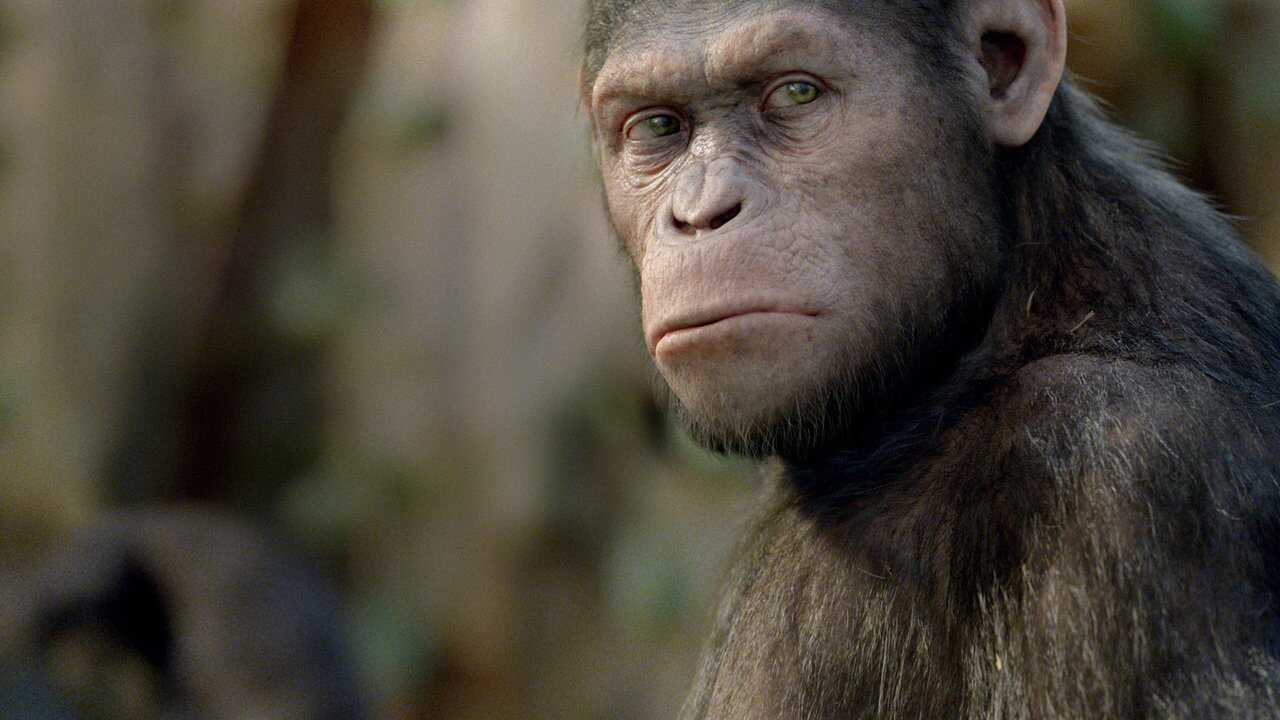 La Planète des singes : Les Origines (2011) 0