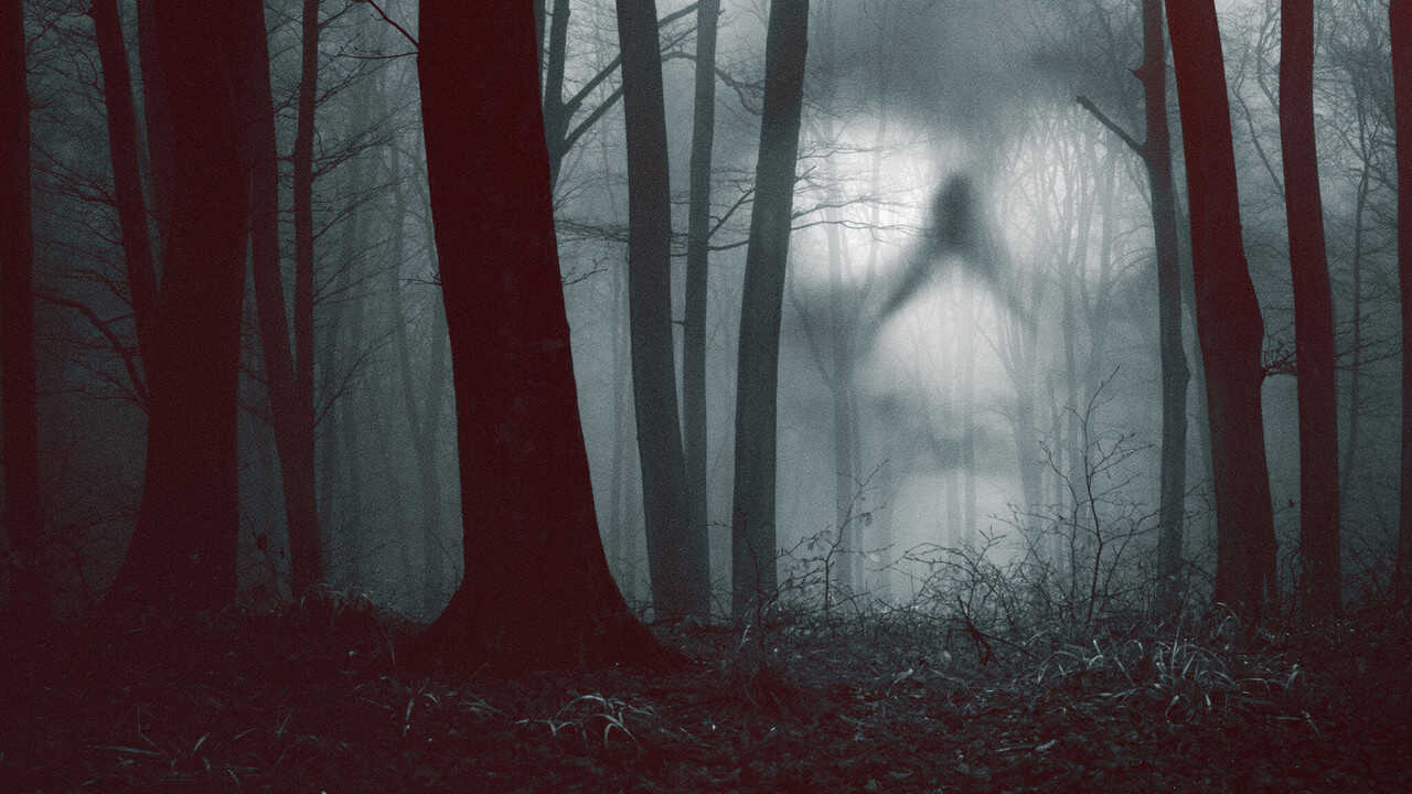 NF - 28 Days Haunted 0