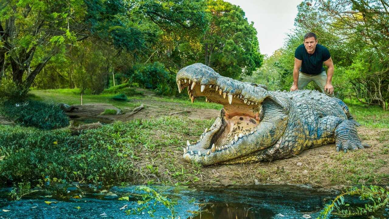 ES - Hipopótamos y cocodrilos con Steve Backshall (2024) 0