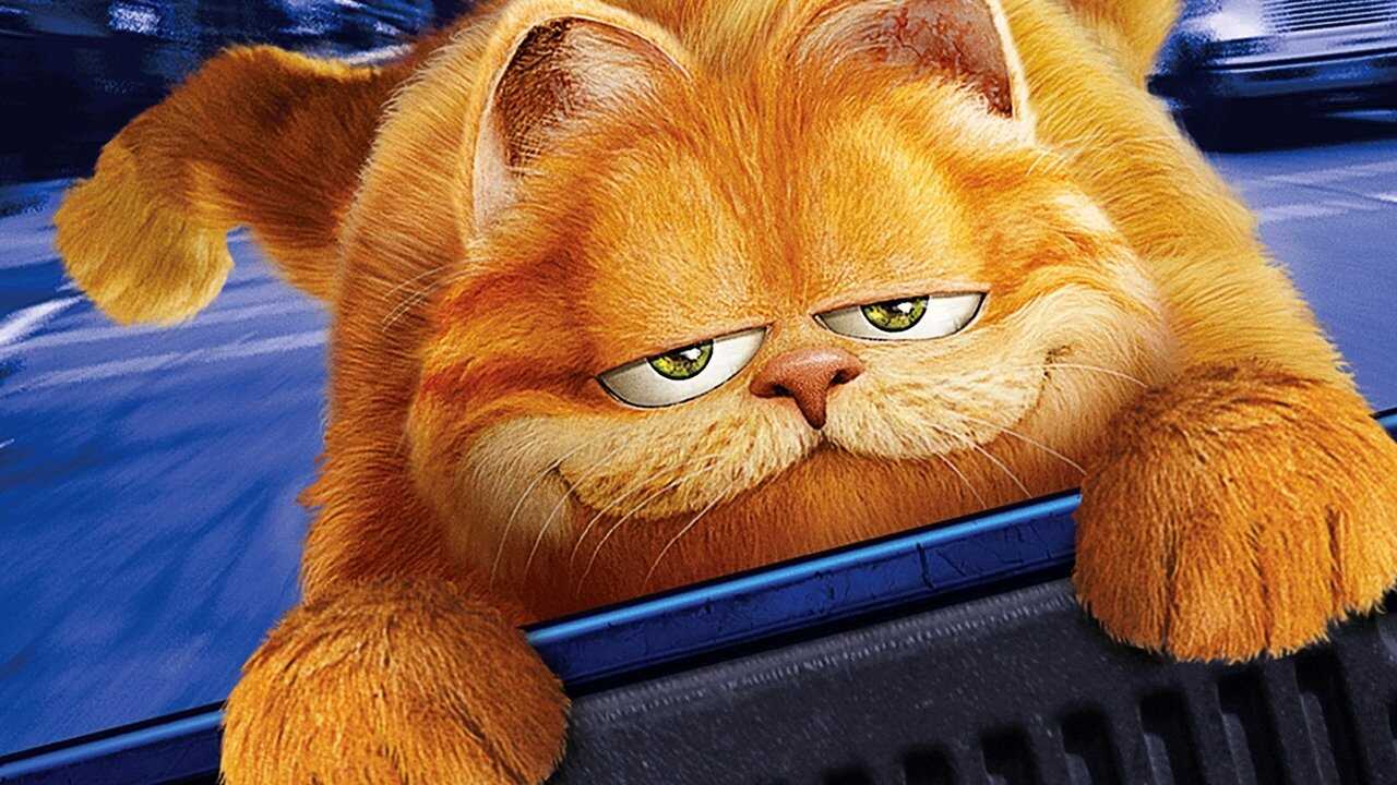 Garfield (2004) 0