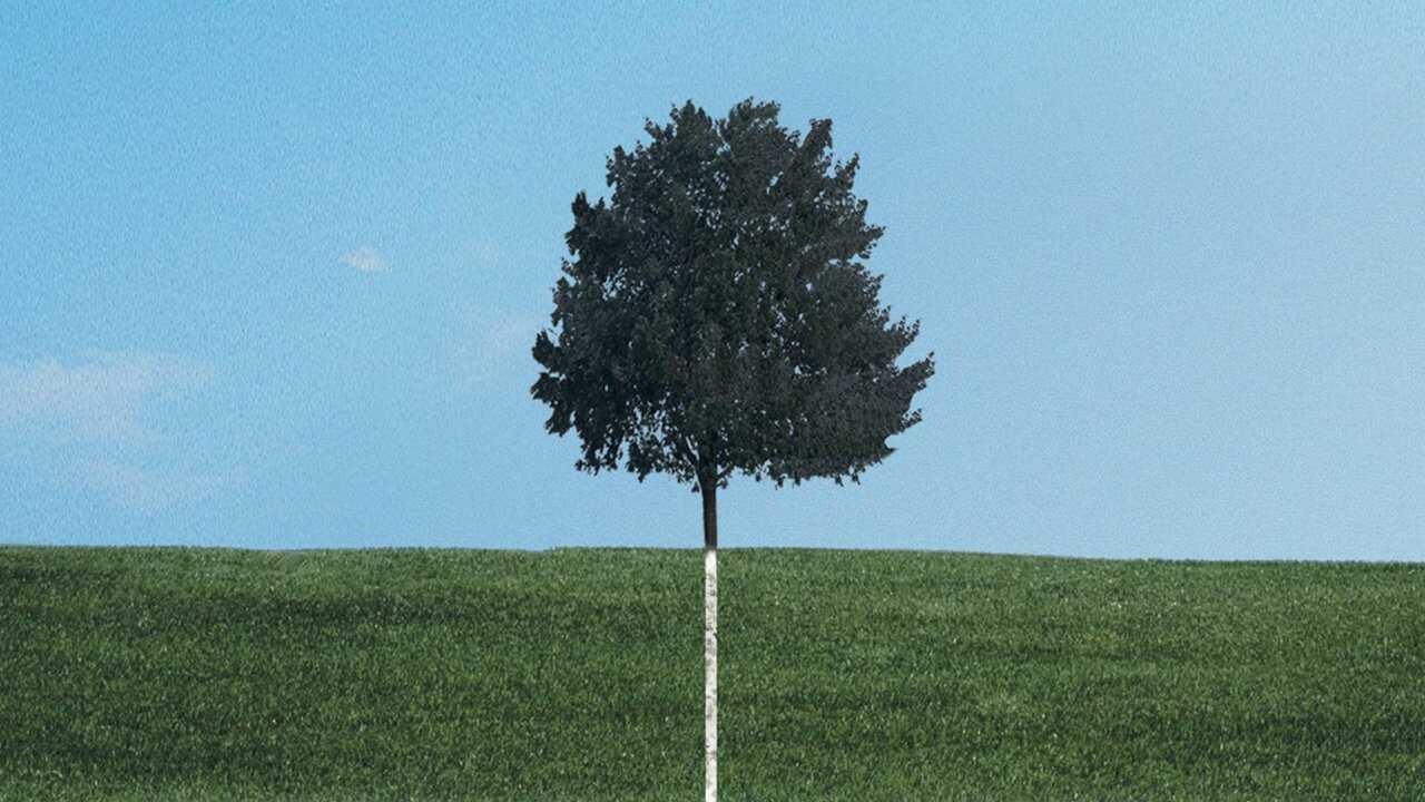 DE - Six Feet Under: Gestorben wird immer (2001) 4