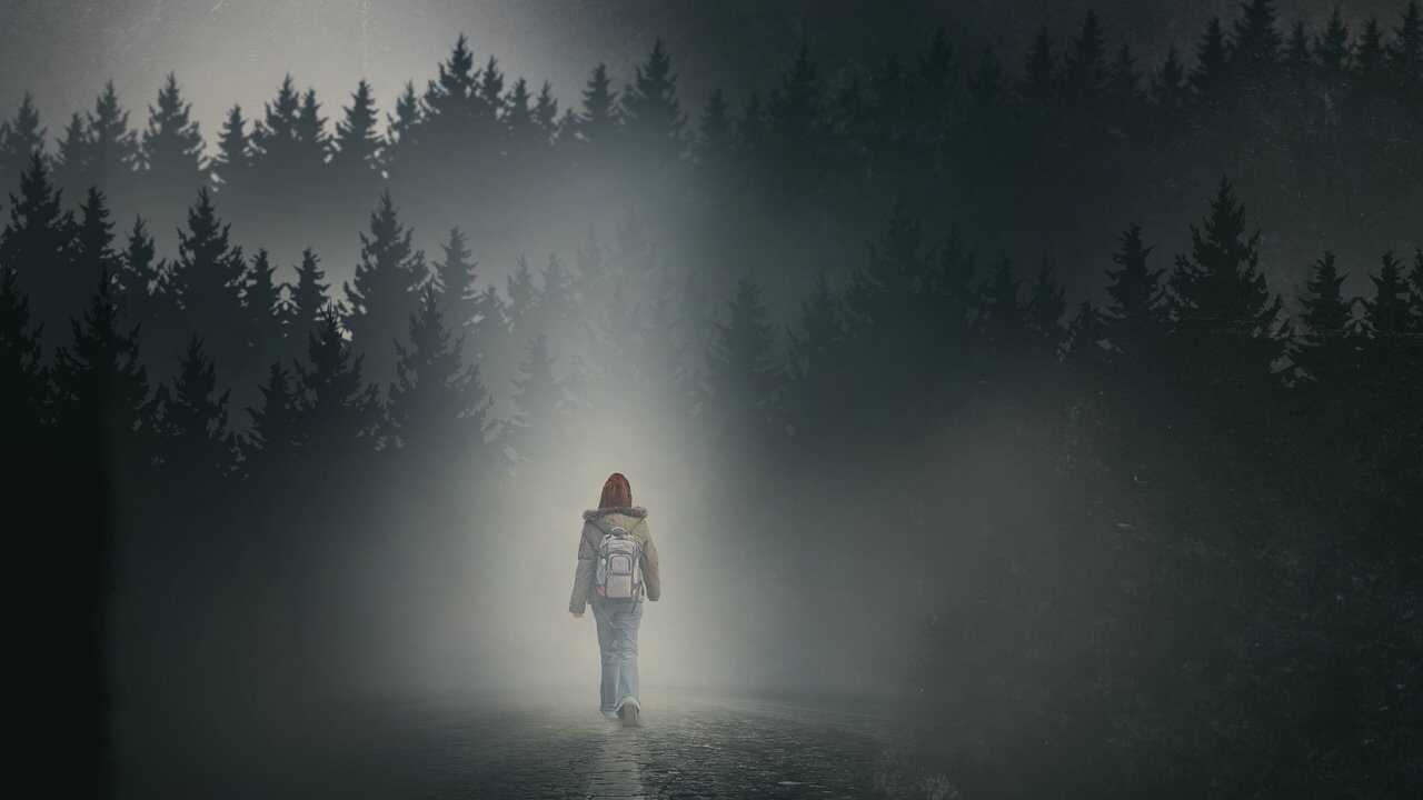 La chica en la niebla (2017) 0