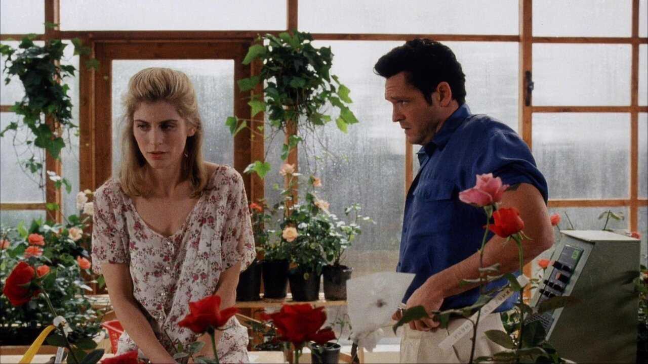A House in the Hills (1993) 0