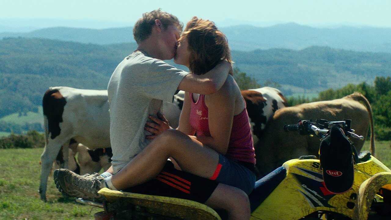Holy Cow (2024) 0