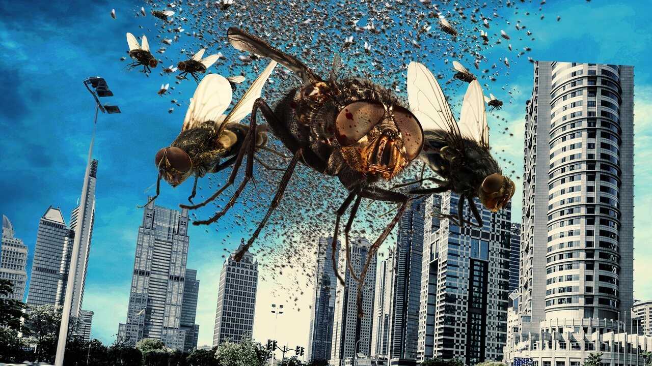 The Deadly Swarm (2024) 0