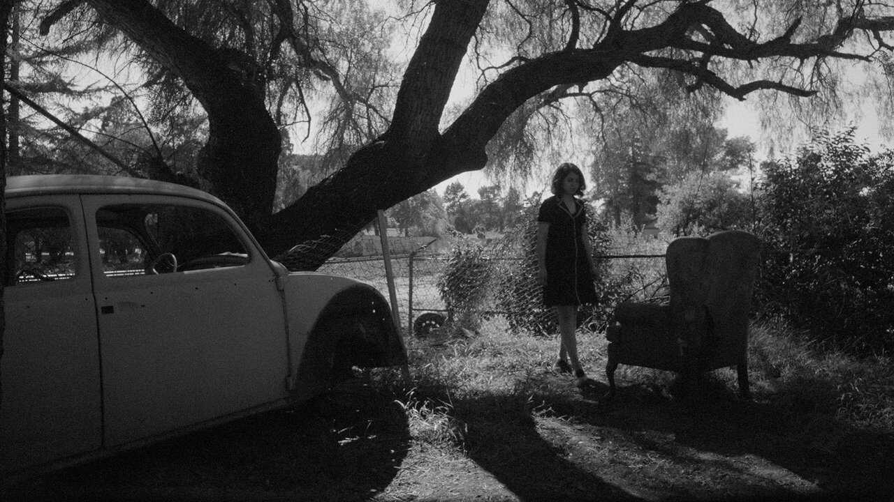 Fremont (2023) 0